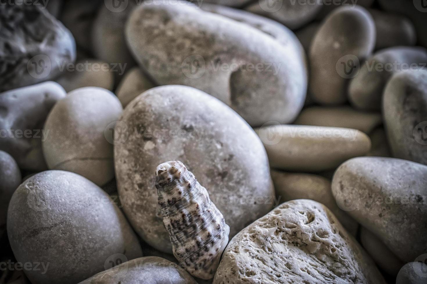 bianca ciottolo pietre su il spiaggia di myrtos foto