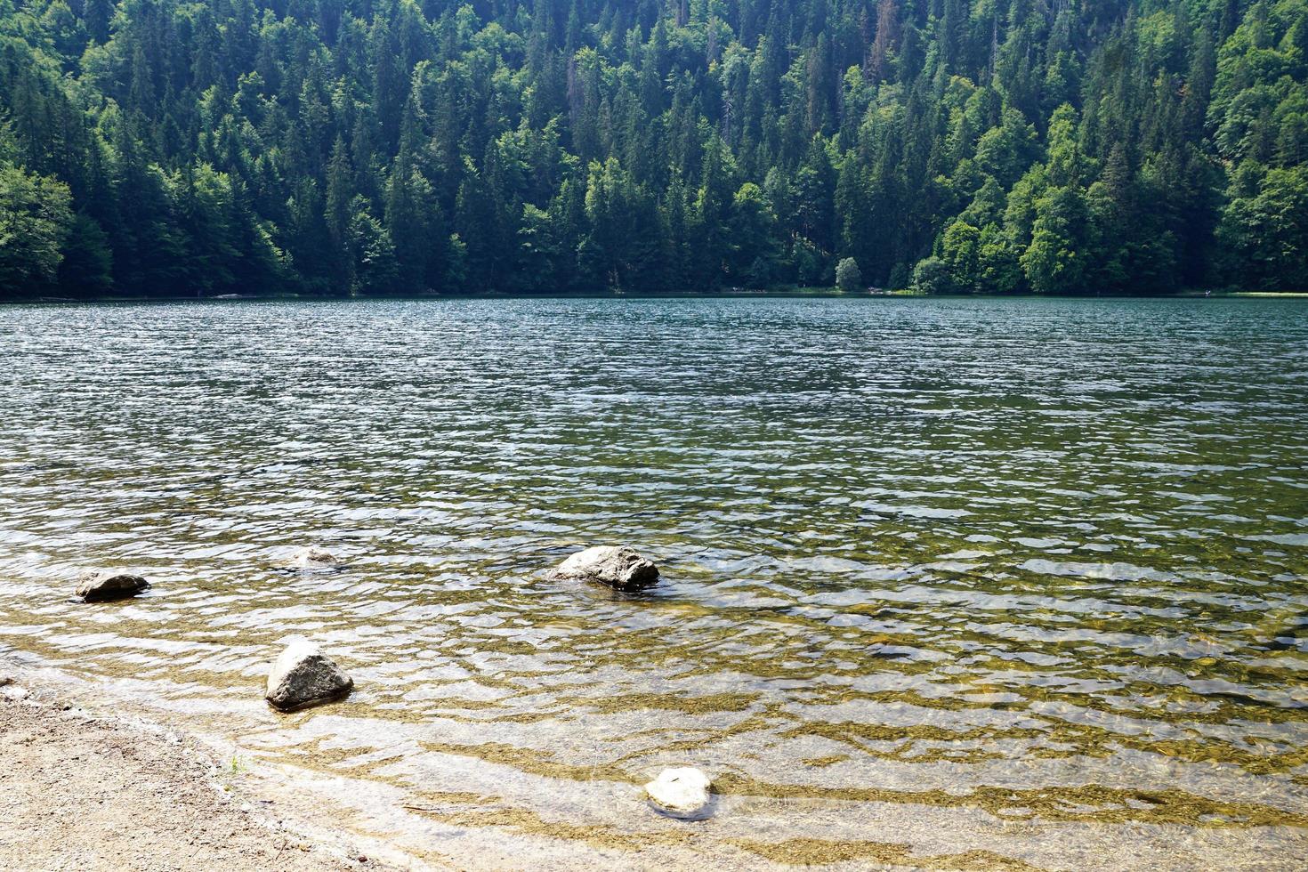 lago in germania foto