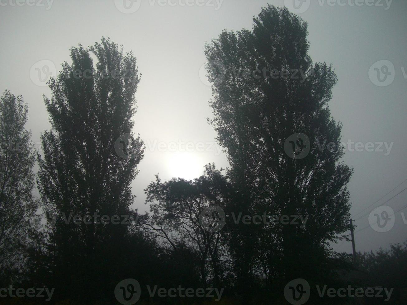 autunno mattina nebbia nel il villaggio foto