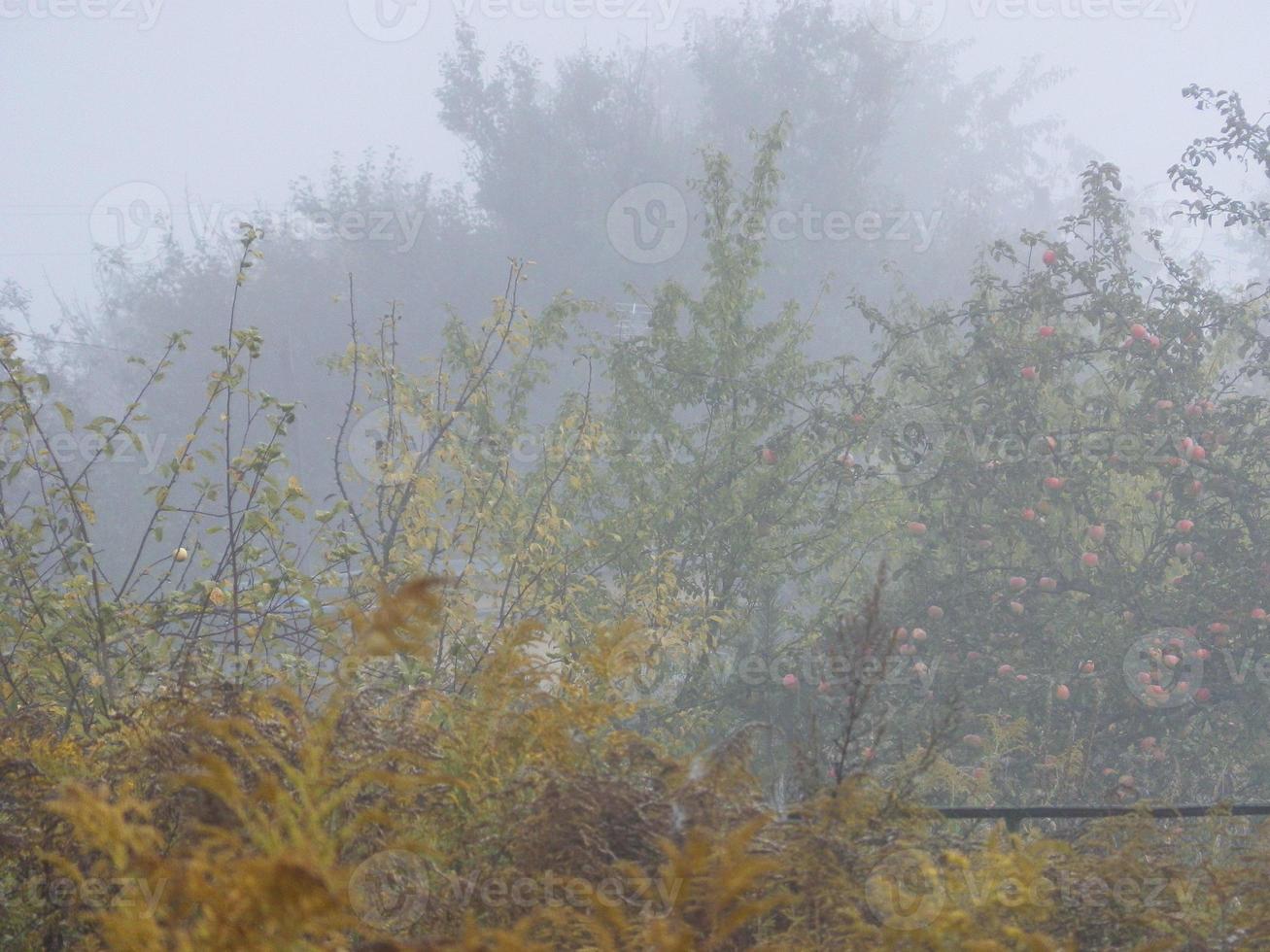 autunno mattina nebbia nel il villaggio foto