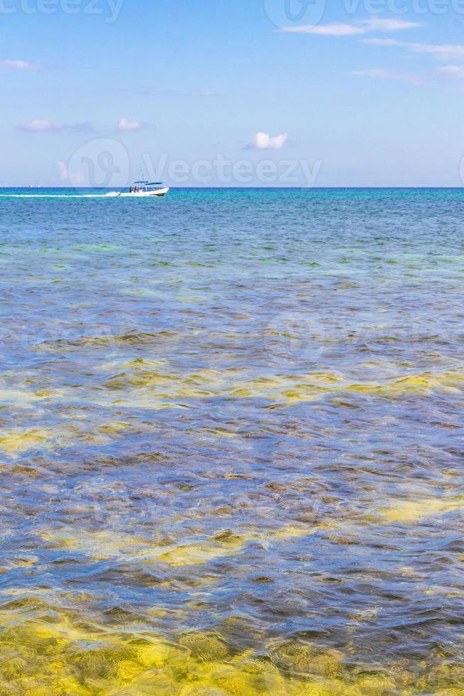 Barche yachts nave molo spiaggia nel playa del Carmen Messico. foto