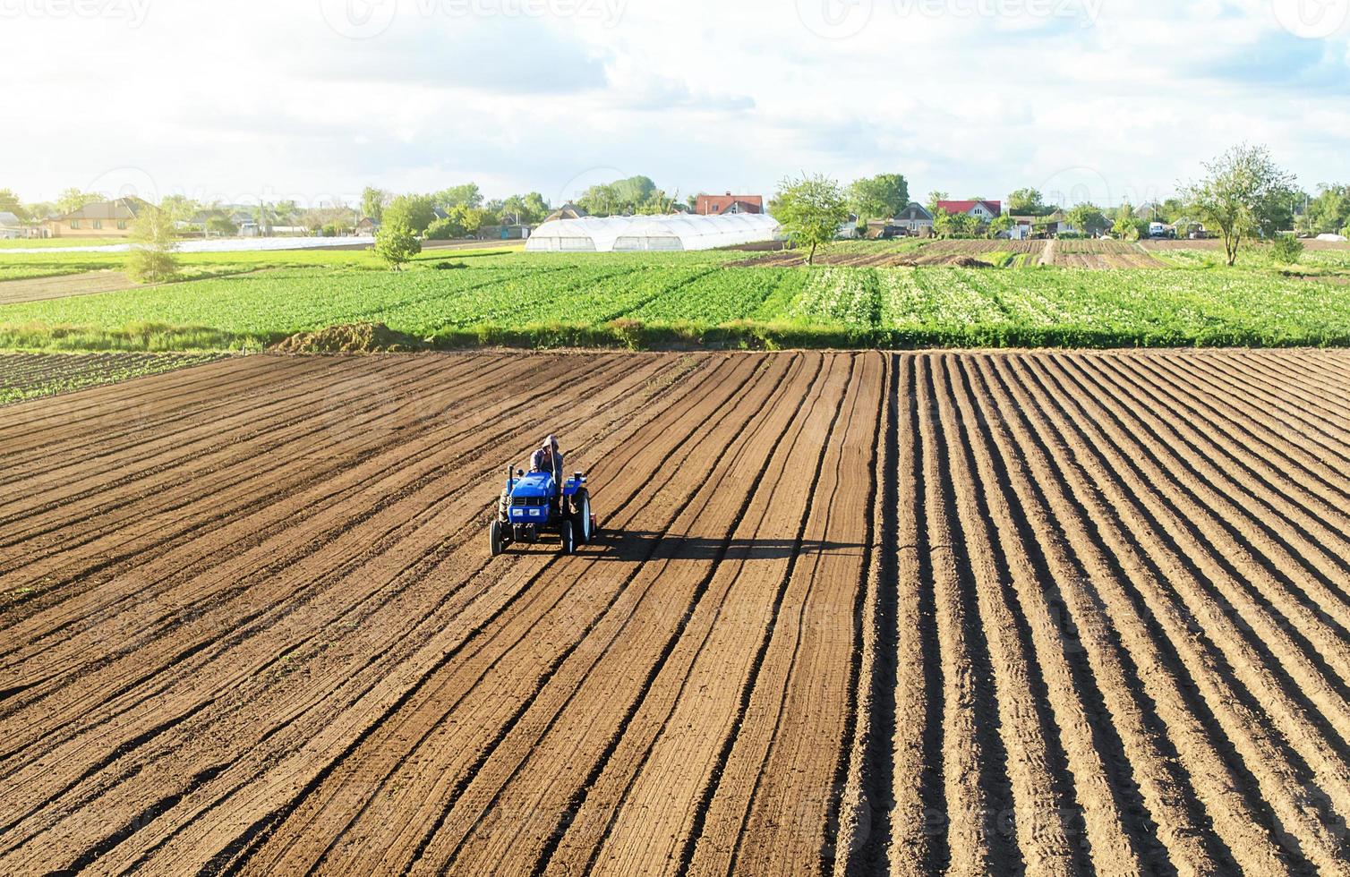 contadino su un' trattore coltiva terra dopo raccolta. sviluppo di agricolo tecnologie. coltivando suolo per ulteriore piantare. allentamento, miglioramento suolo qualità. cibo produzione verdura foto