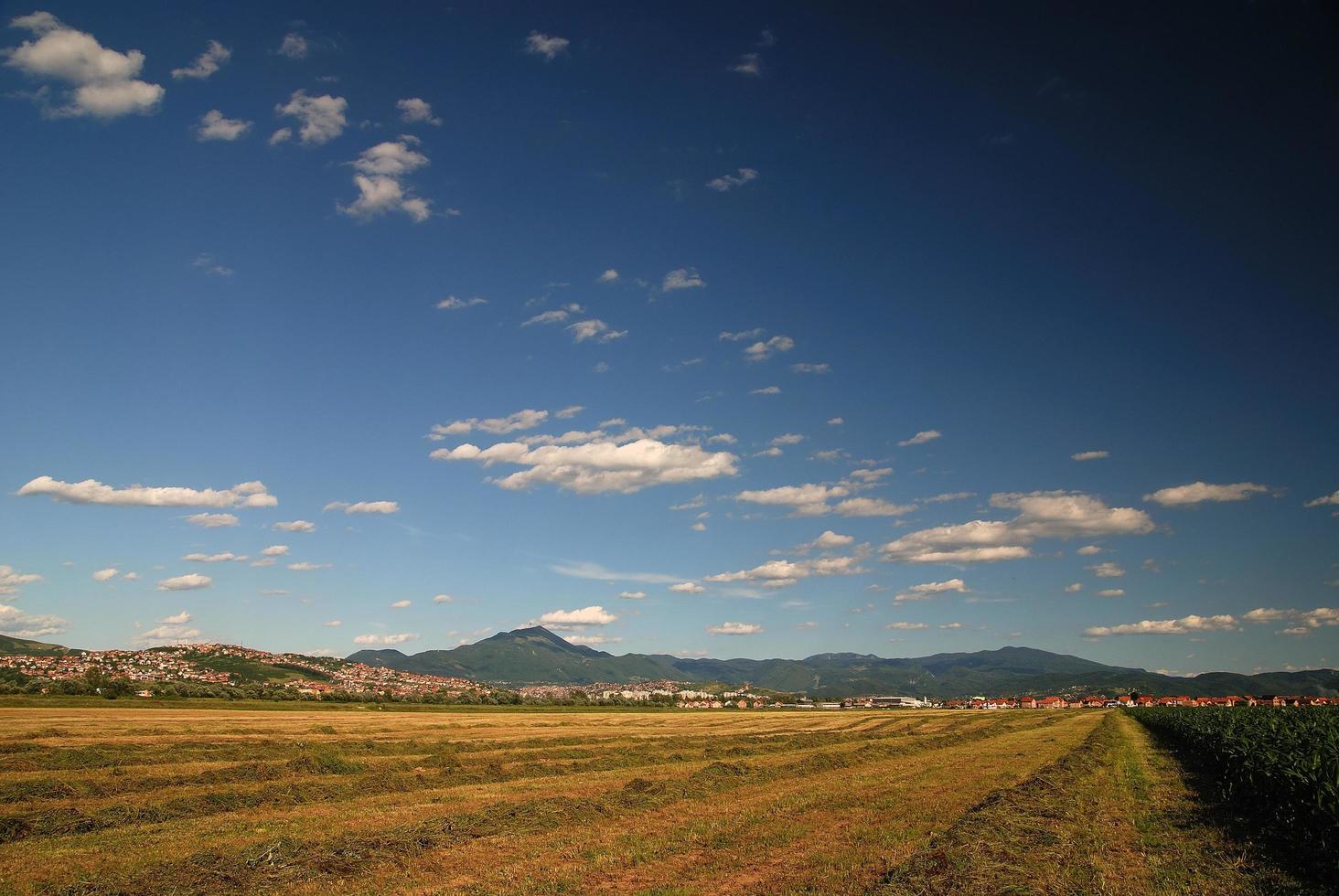 soleggiato giorno e drammatico cielo foto