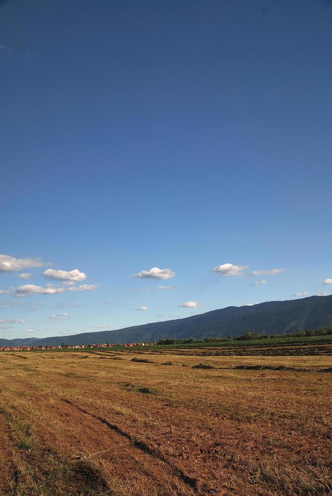 soleggiato giorno e drammatico cielo foto