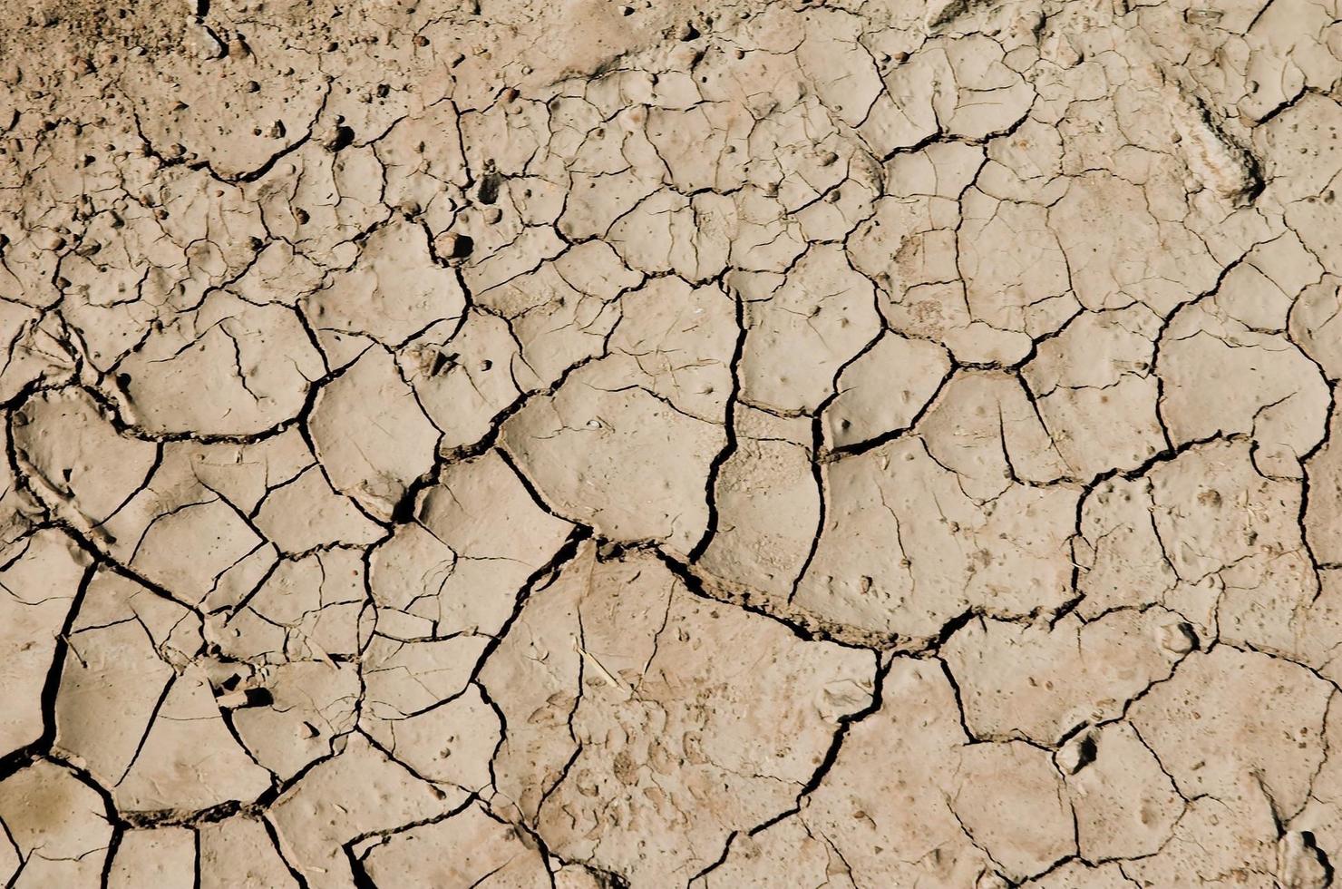 pavimento secco del deserto foto