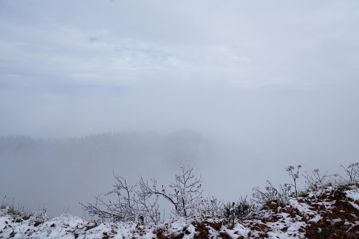 paesaggio montano nebbioso foto