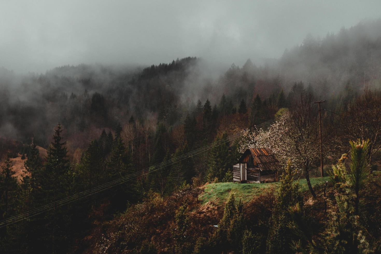 collina della campagna durante l'autunno foto