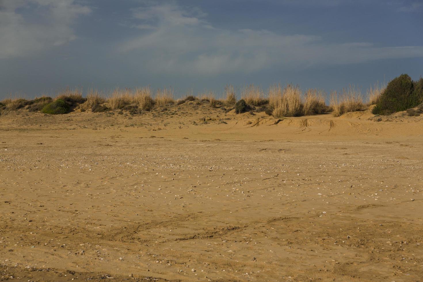 deserto dune Visualizza foto