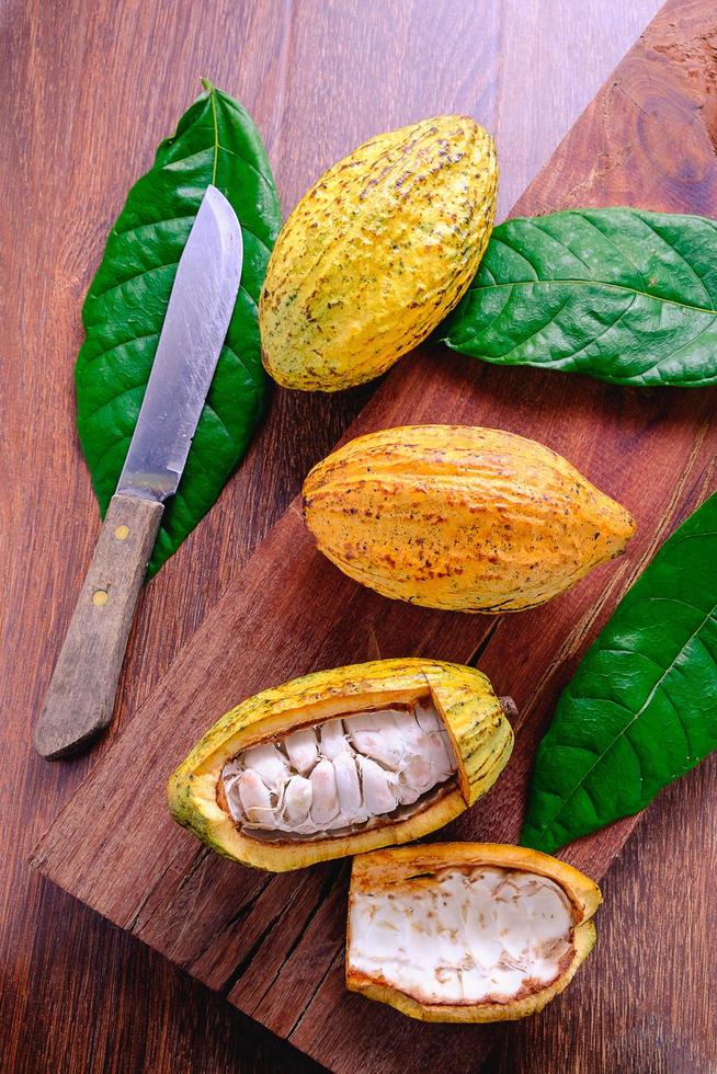 frutta fresca di cacao foto