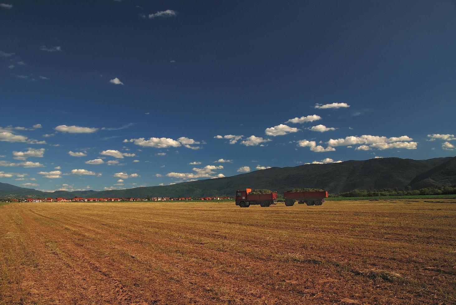 camion su campo foto