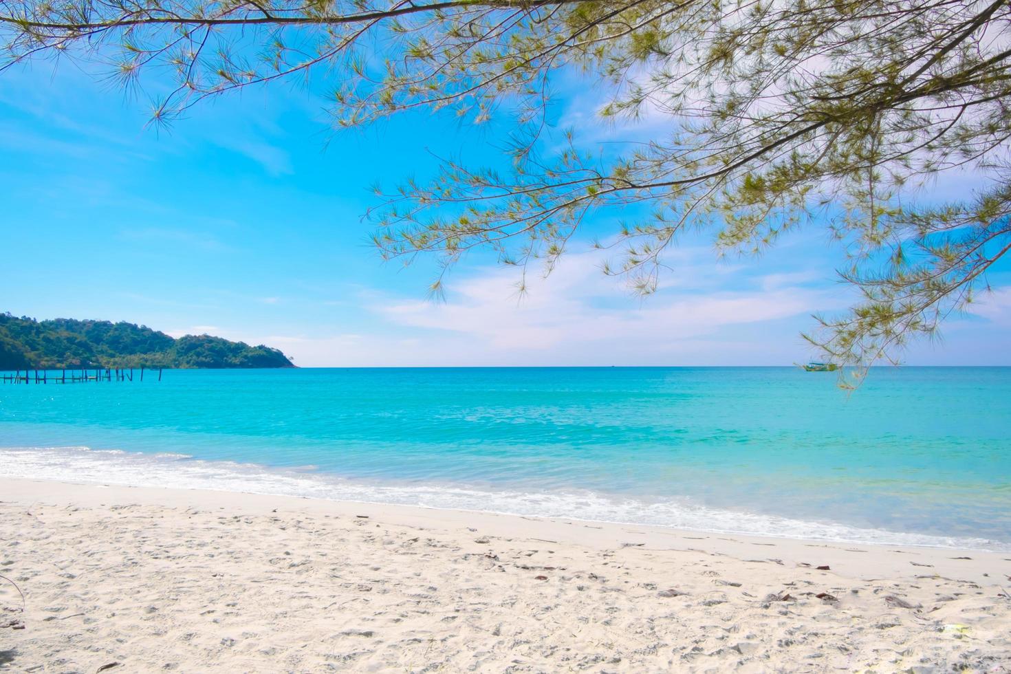 tropicale spiaggia con pino albero su il estate blu cielo , soleggiato giorno foto