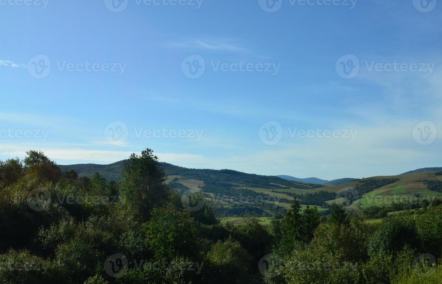 frammento di il montagnoso terreno nel il Carpazi, Ucraina. il foresta è perdonato di il rilievi di il carpazi montagne foto