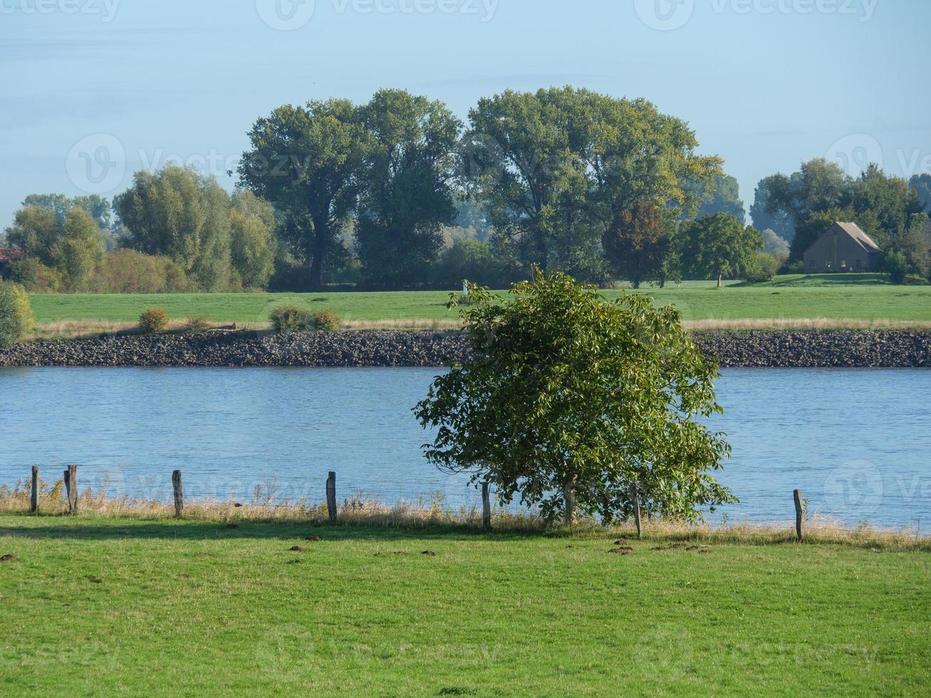 dispiacere a il Reno fiume nel Germania foto