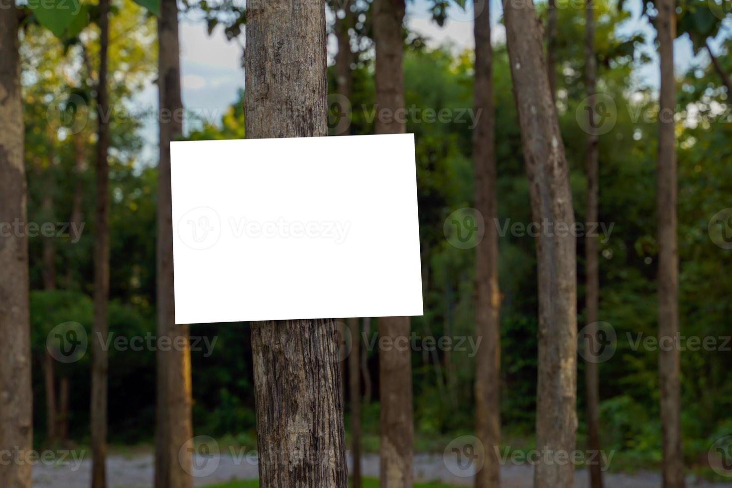 bianca Avviso asse, pubblico relazioni cartello, campagna cartello incollato su un' albero nel il foresta parco. morbido e selettivo messa a fuoco. foto