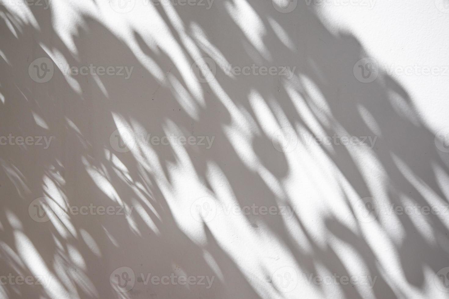 astratto naturale albero le foglie ombra su bianca parete sfondo foto