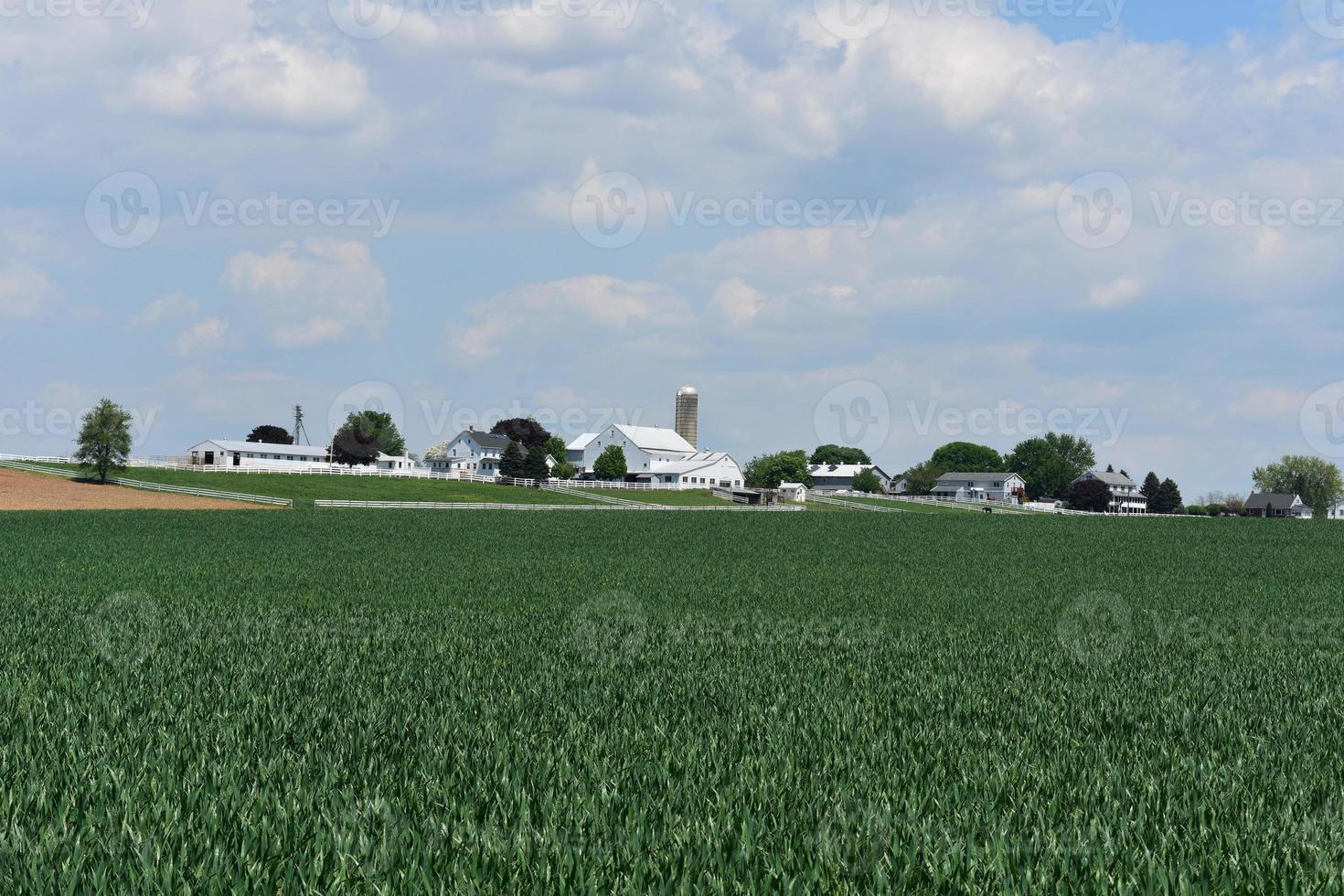 bello Lancaster contea azienda agricola con i campi e pascoli foto