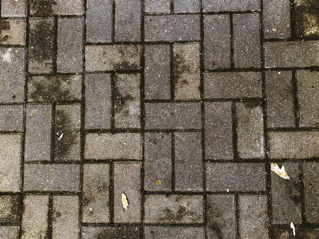 pavimentazione lastre e autunno le foglie. foto