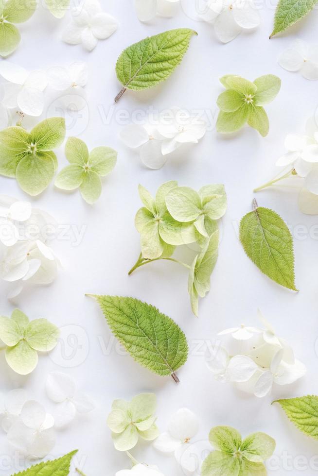 bianca verde floreale sfondo su ortensia fiori e foglie, alto piatto posizione, verticale telaio foto