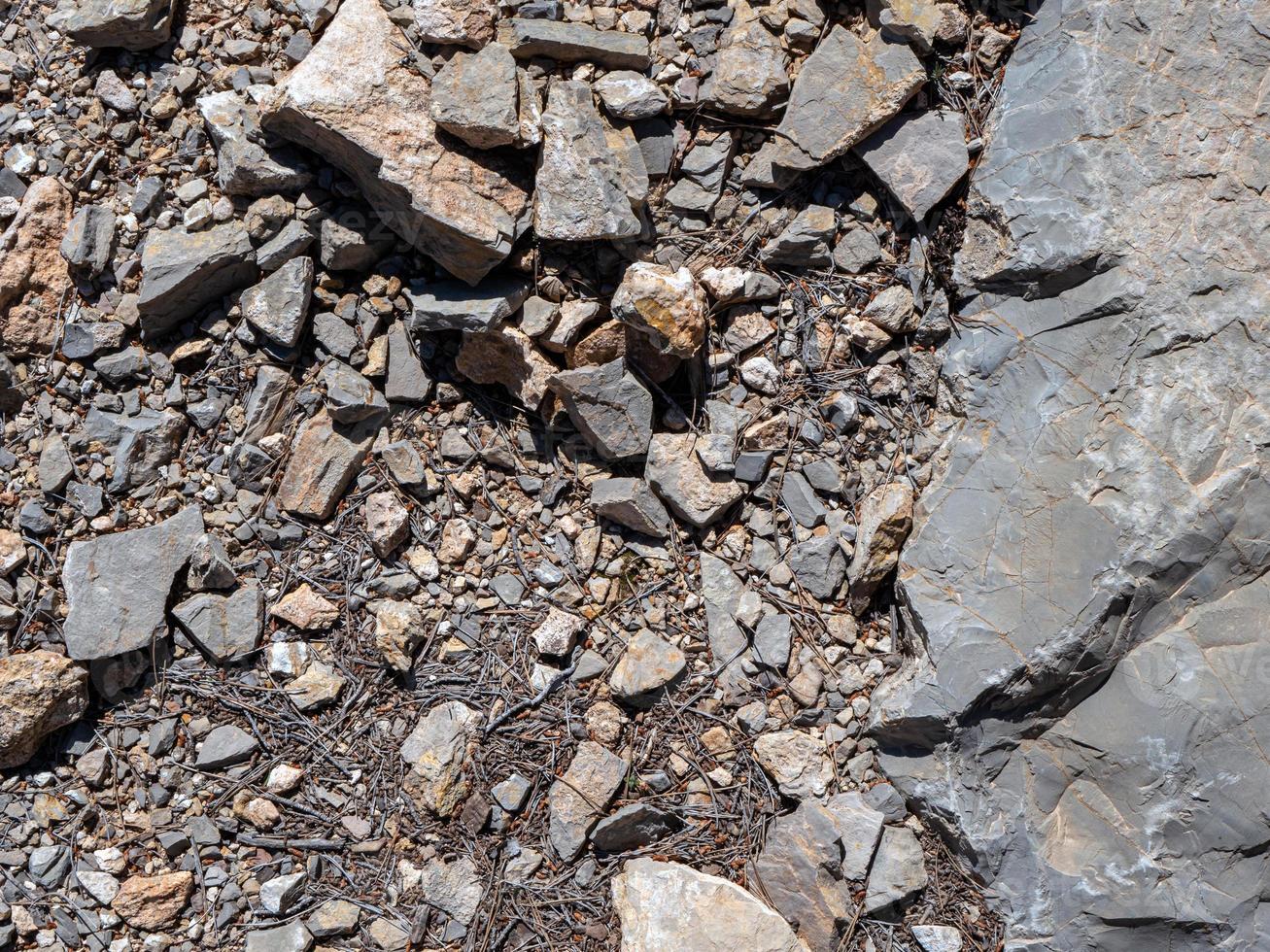 superiore tiro di terra con pino aghi e diverso rocce dire bugie in giro foto