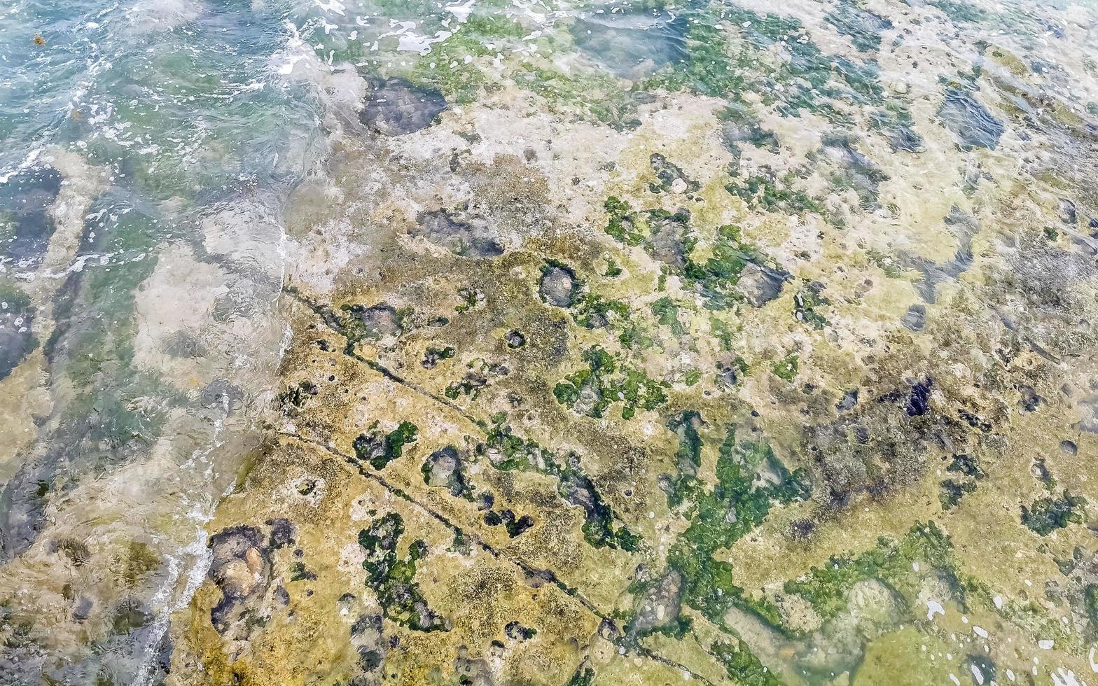 uragano temporale tropicale tempesta roccia acqua onda struttura modello Messico. foto