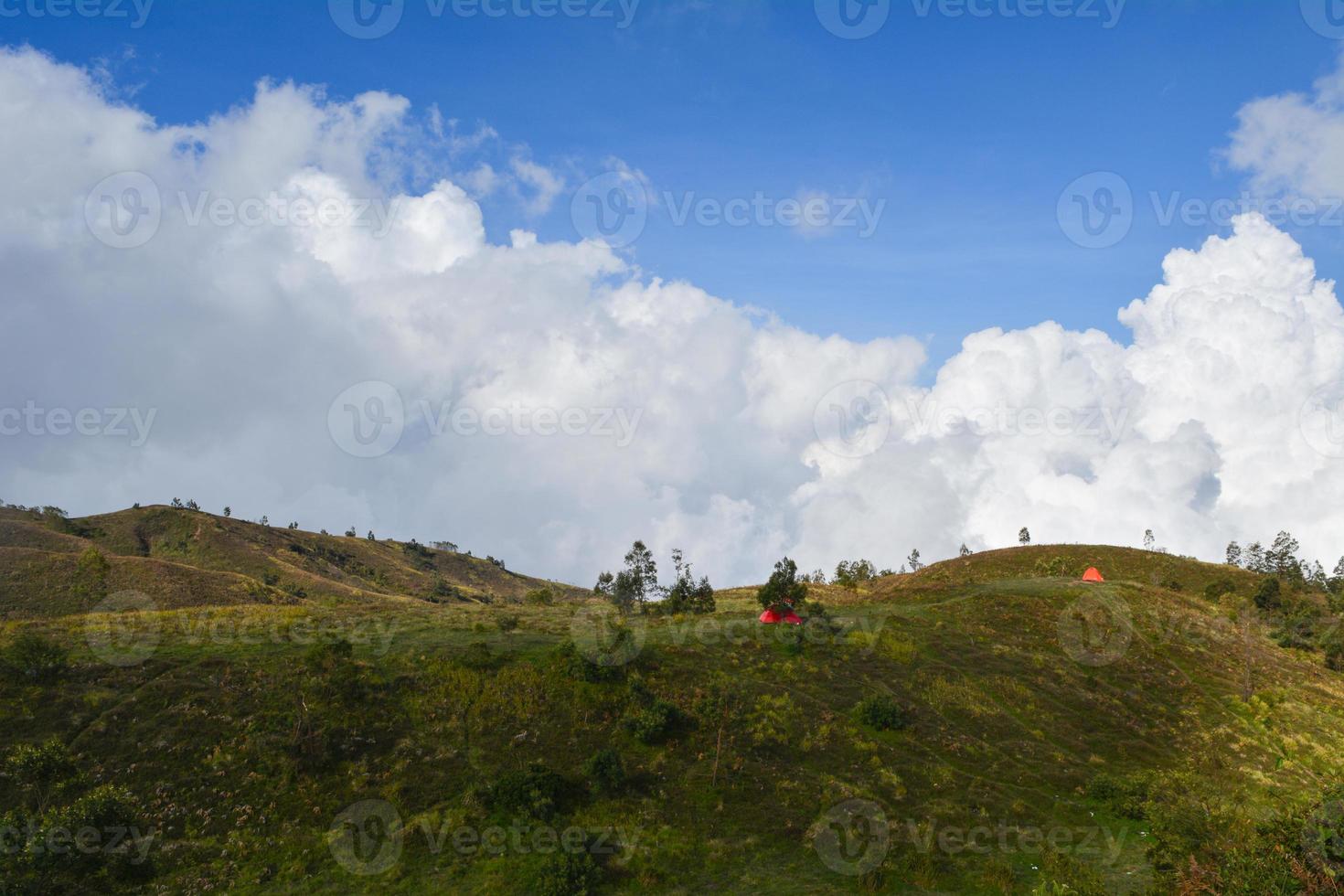 savana Visualizza durante il giorno foto