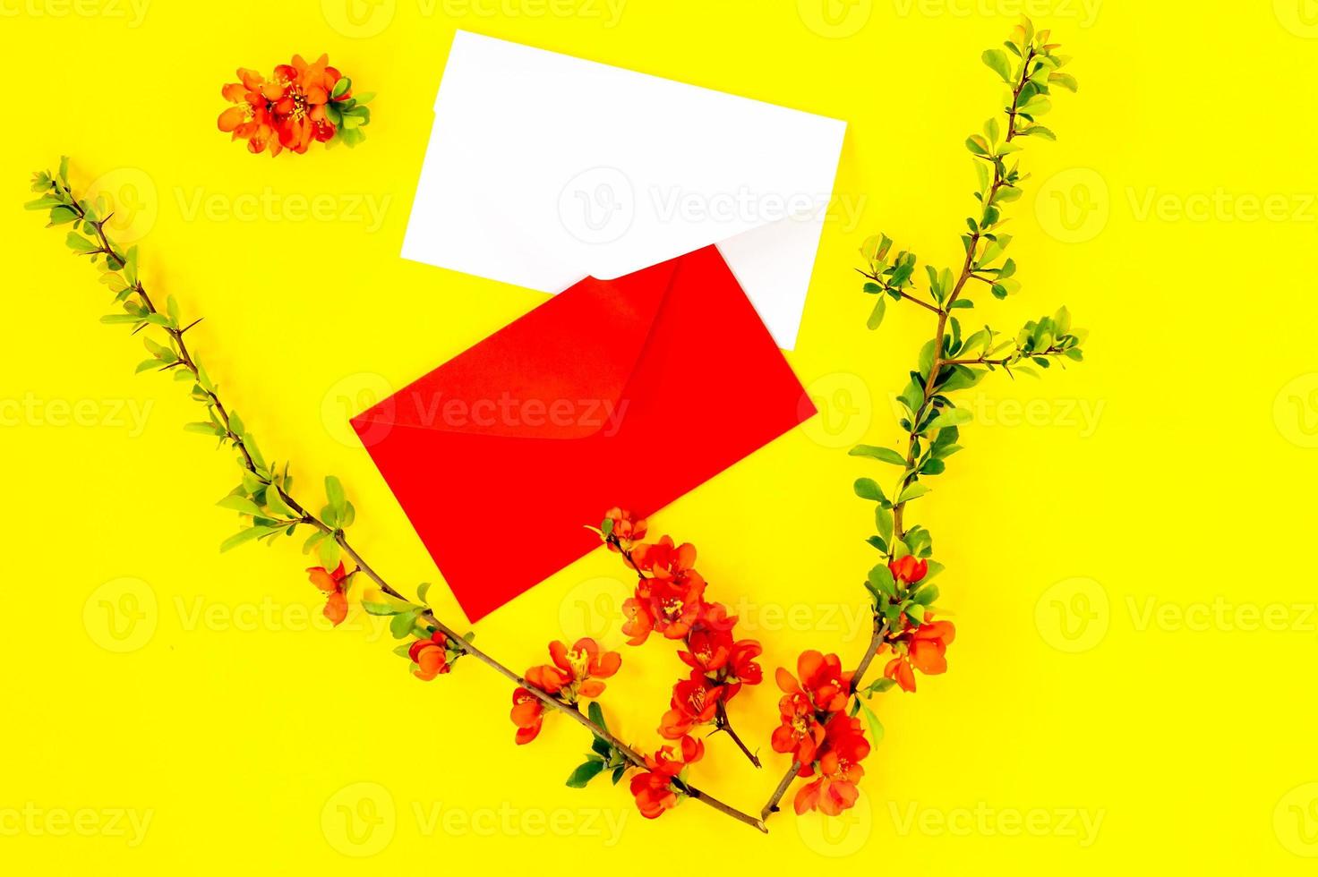 creativo piatto posare di buste bianche telaio finto su e Mela cotogna albero fiori petali su giallo sfondo con copia spazio nel minimo stile, modello per scritte, testo o il tuo design foto