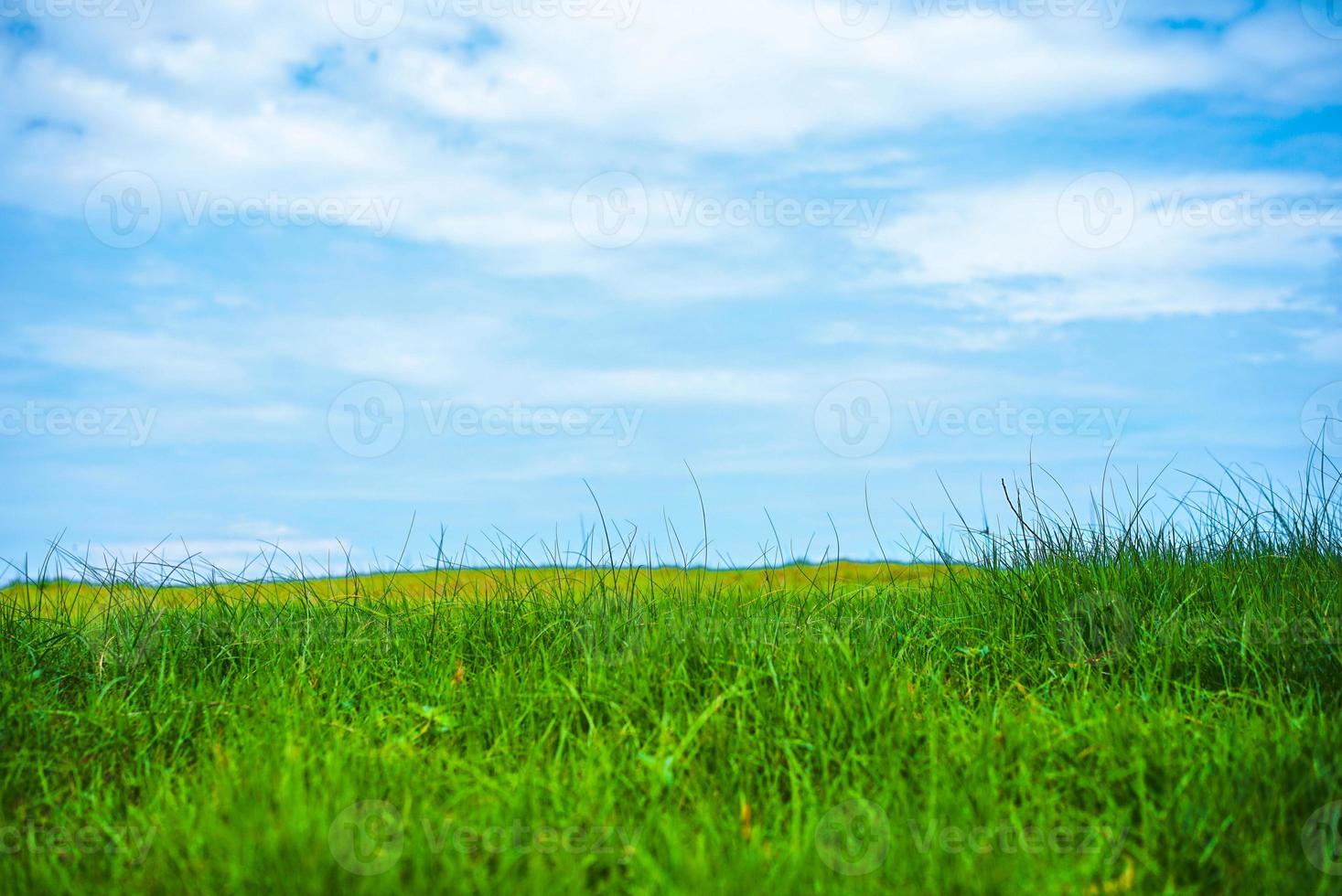 bellissimo paesaggio di verde campo e bianca nuvole copia spazio per testo o design foto