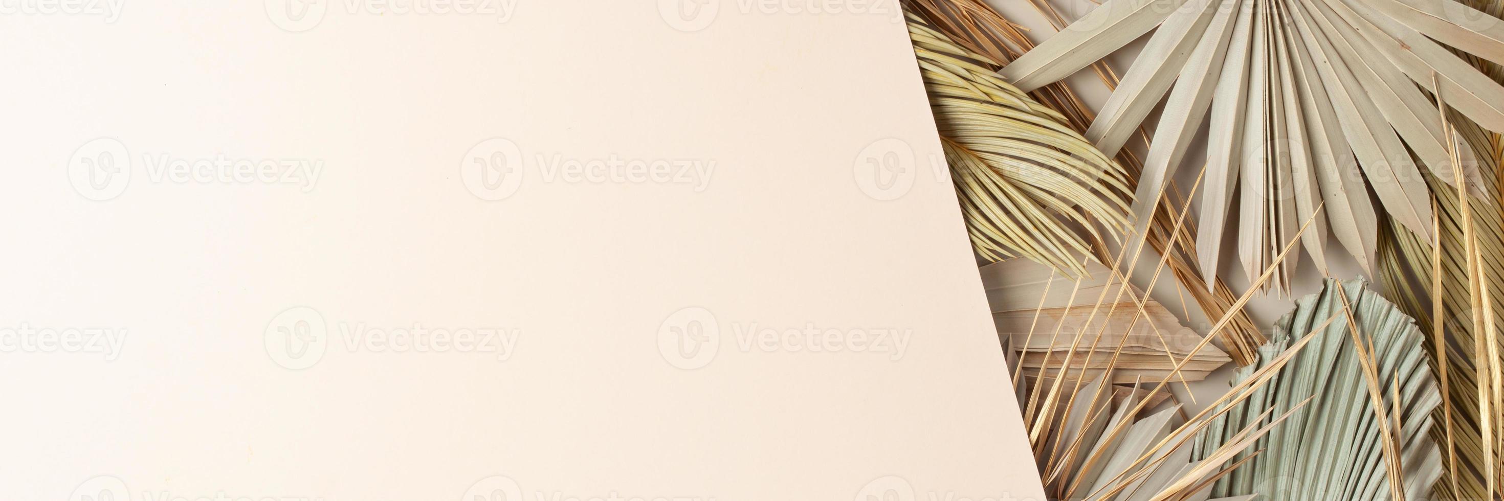 tropicale naturale sfondo con palma foglia su pastello beige. piatto posizione, copia spazio foto