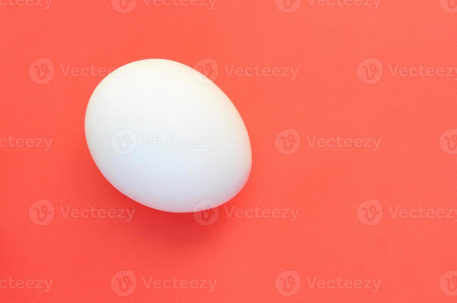 uno bianca uovo su un' luminosa rosso sfondo foto