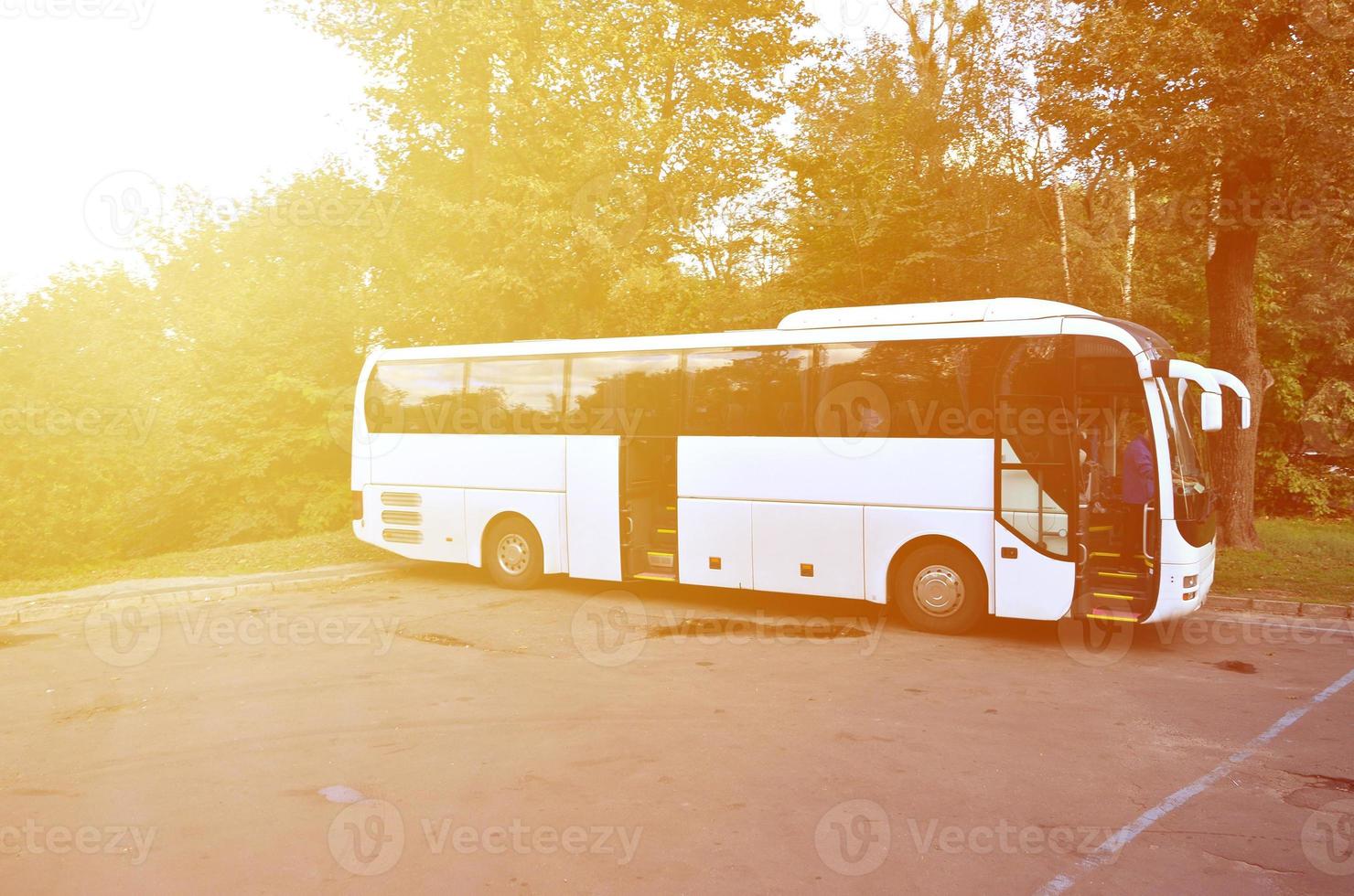 bianca turista autobus per escursioni. il autobus è parcheggiata nel un' parcheggio lotto vicino il parco foto