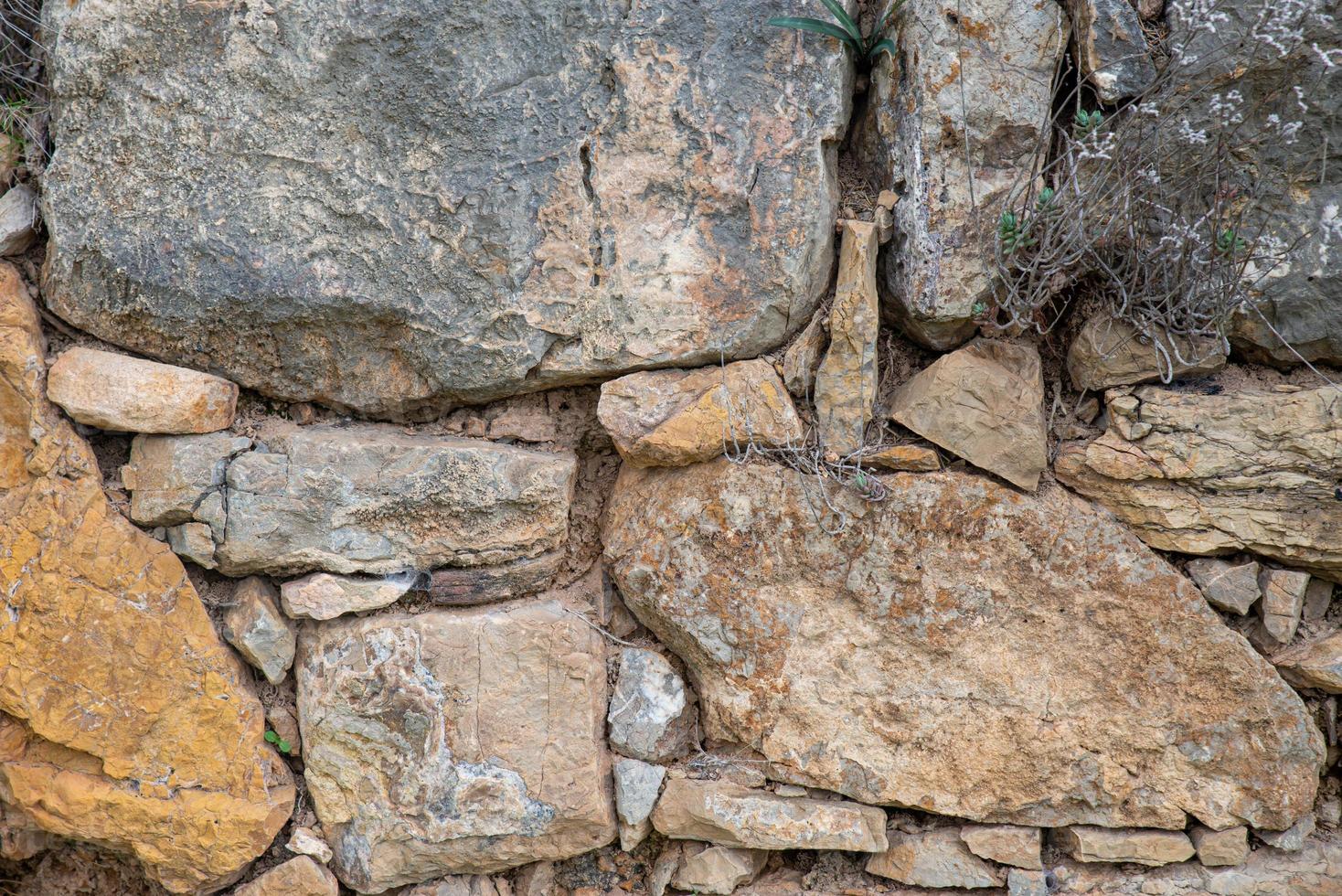struttura di un vecchio pietra parete con asciutto steli su esso foto