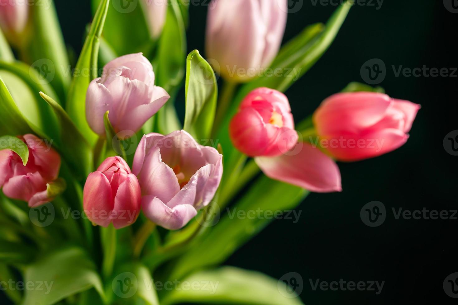 mazzo di rosa tulipani foto