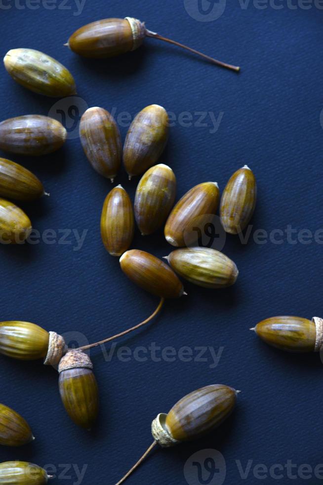 Marrone quercia noccioline ghiande avvicinamento su un' nero sfondo. quercia semi. foto