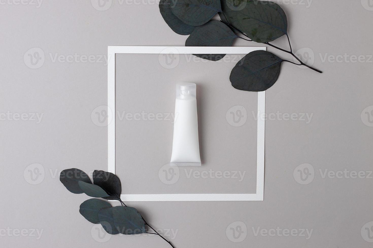 bianca tubo di cosmetico crema con bianca telaio e eucalipto su grigio sfondo. piatto posare foto