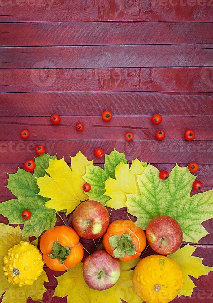 acero le foglie con rosso mele, zucche, cachi e radica su Borgogna tavole. concetto di autunno, raccolto, ringraziamento. copia spazio foto