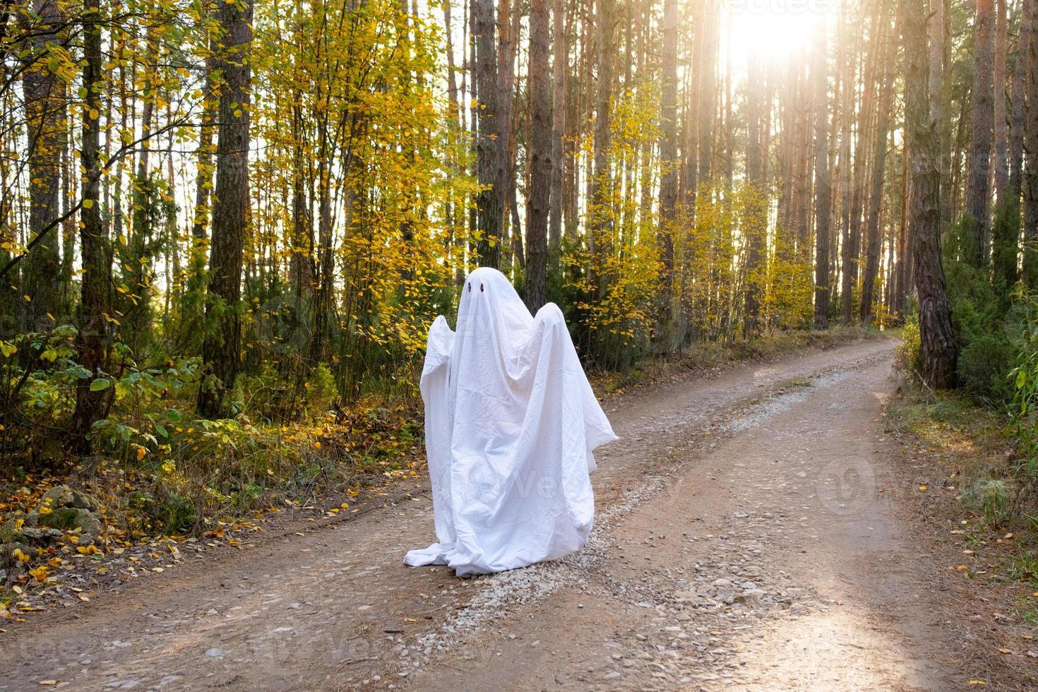 un' bambino nel lenzuola con ritagliare per occhi piace un' fantasma costume nel un autunno foresta spaventa e terrorizza. un' genere poco divertente fantasma. Halloween festa foto