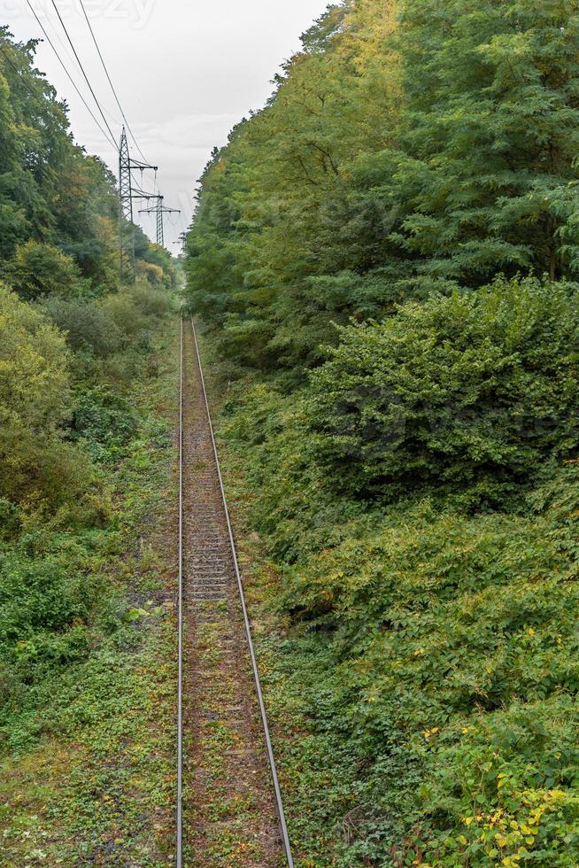 ferrovia nel il verde paesaggio foto