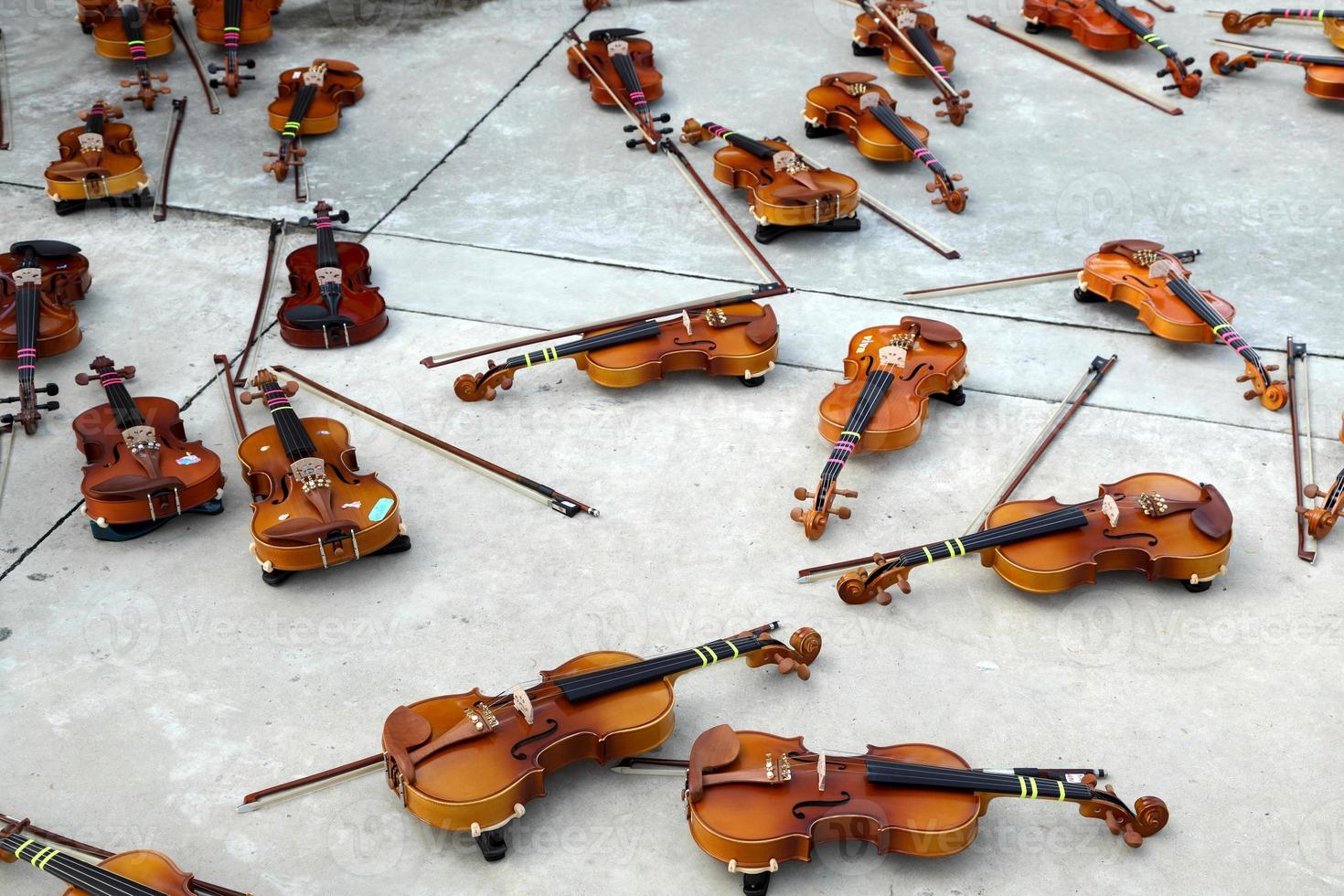 gruppo di violino foto