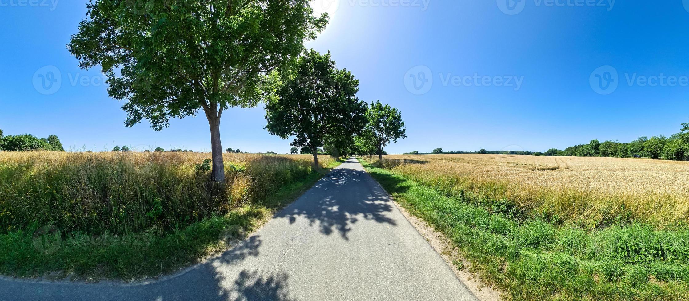 bellissimo Visualizza su campagna strade con i campi e alberi nel settentrionale Europa foto