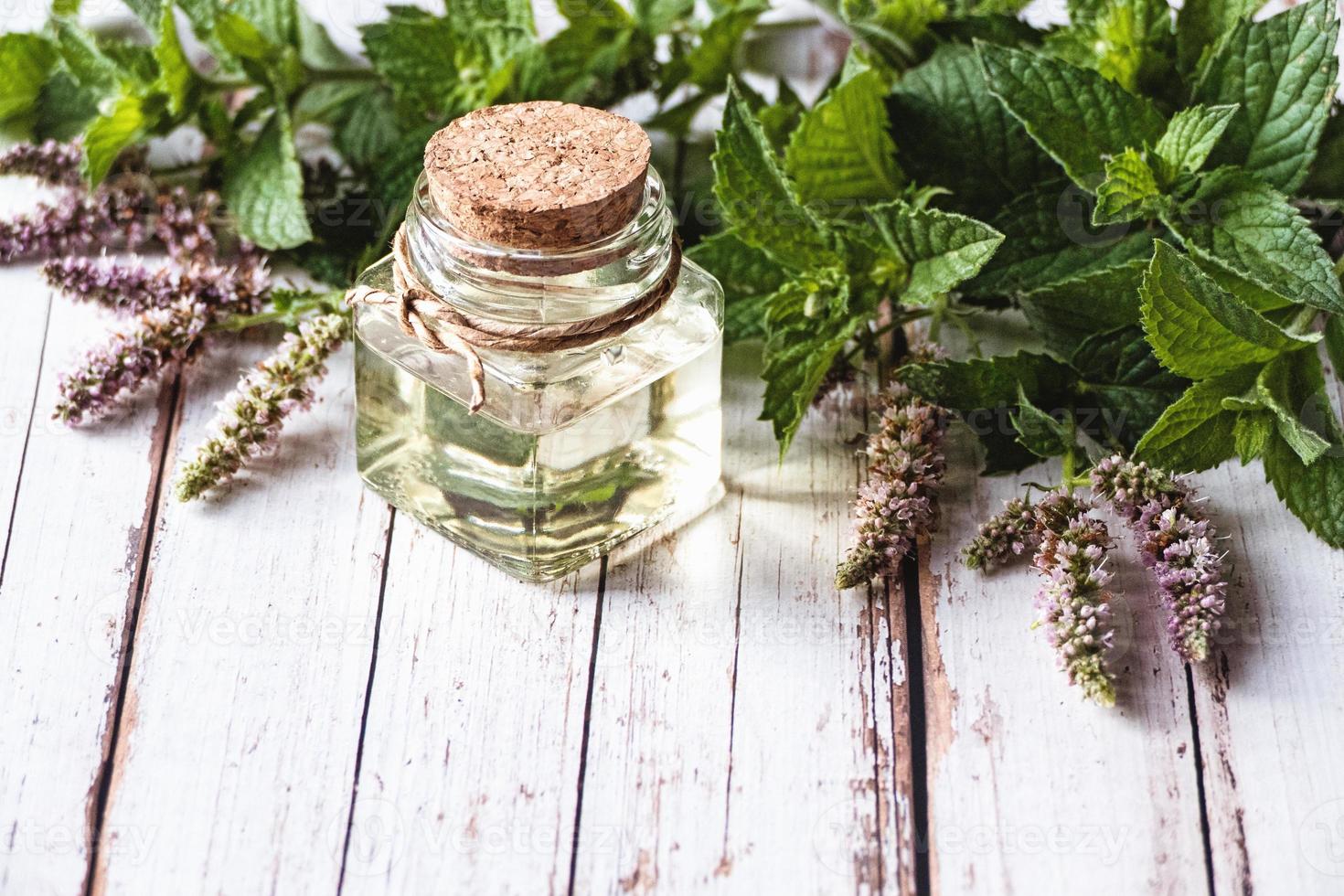 fragrante menta olio nel un' bottiglia, Mentha impianti con fiori su bianca di legno sfondo, naturopatia e erbaceo medicina foto