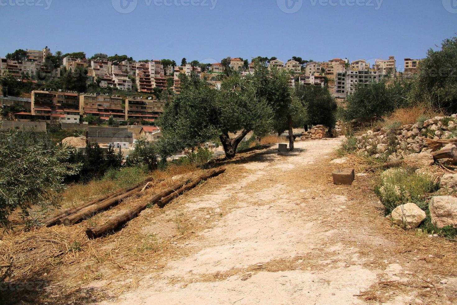 un' Visualizza di il Nazareth villaggio nel Israele foto