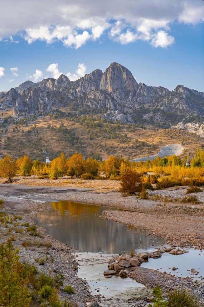 fiume ruscello nel il montagne. montagna fiume ruscello nel boschi foto