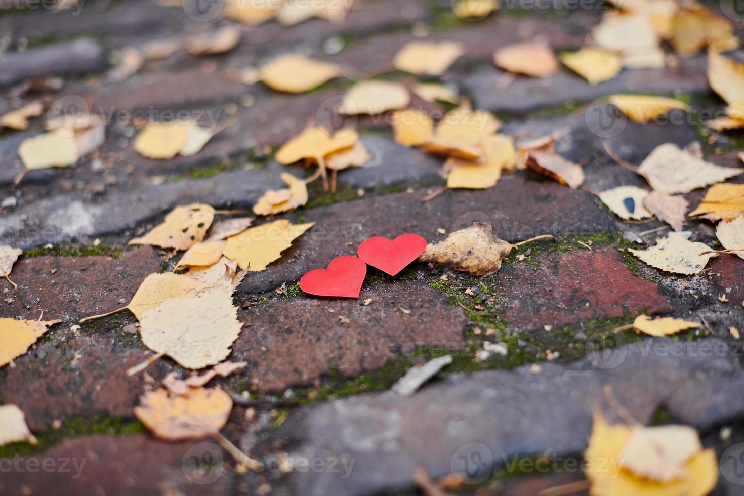 concetto di amore o amicizia foto