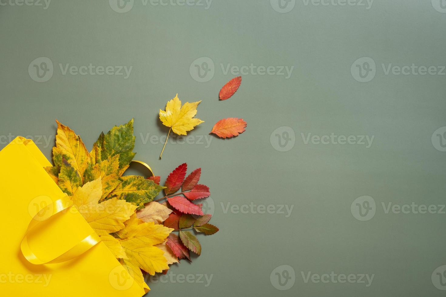 autunno shopping e i saldi concetto. composizione di autunno caduto le foglie e un' shopping Borsa su un' verde sfondo foto