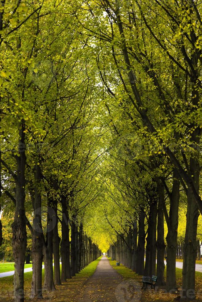 autunno vicolo dettaglio foto