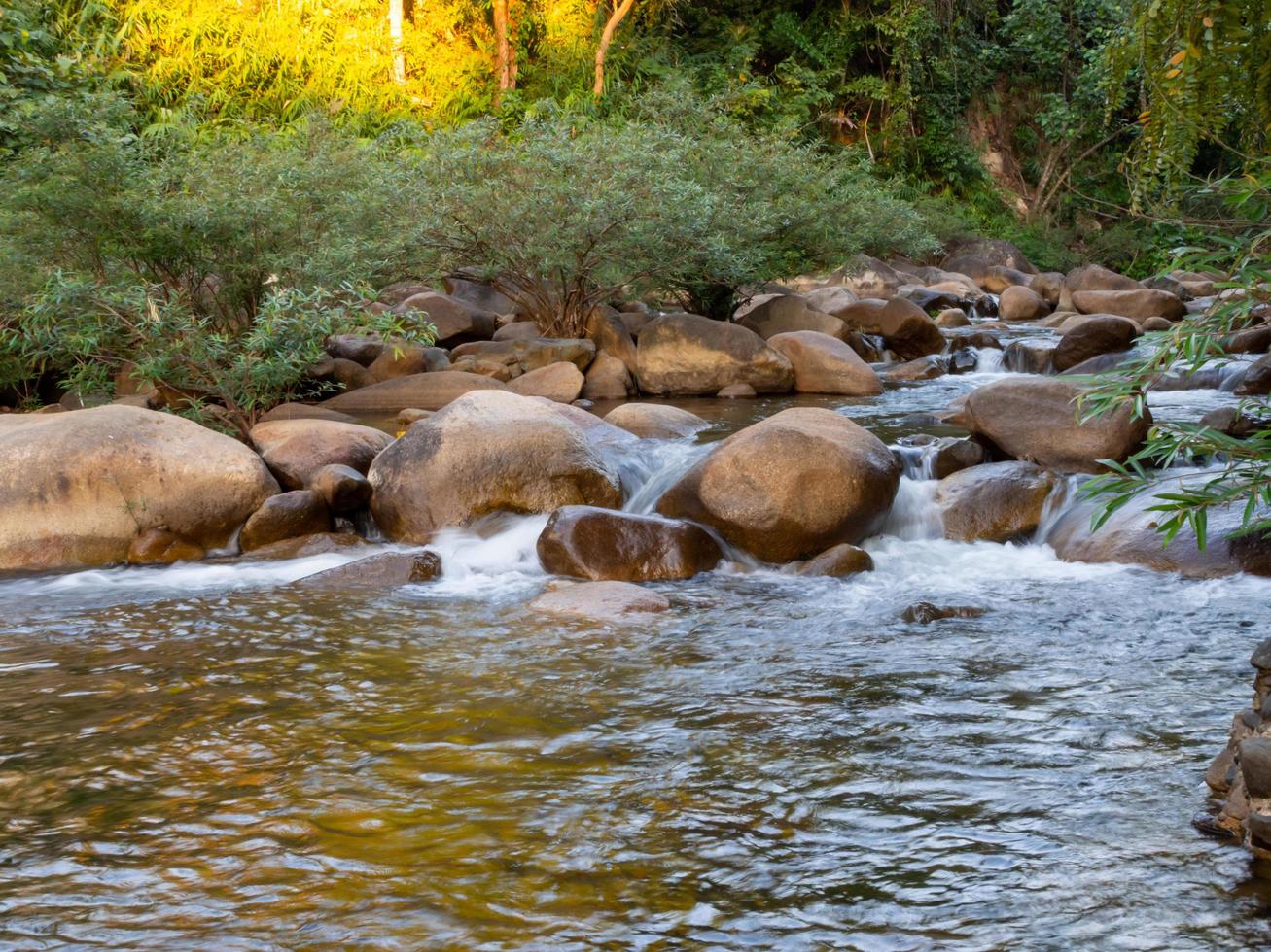 un' esposizione prolungata tiro di un' piccolo torrente fluente attraverso un' Marrone roccia. e Là siamo verde alberi come un' sfondo. esso è un' specifico messa a fuoco. foto