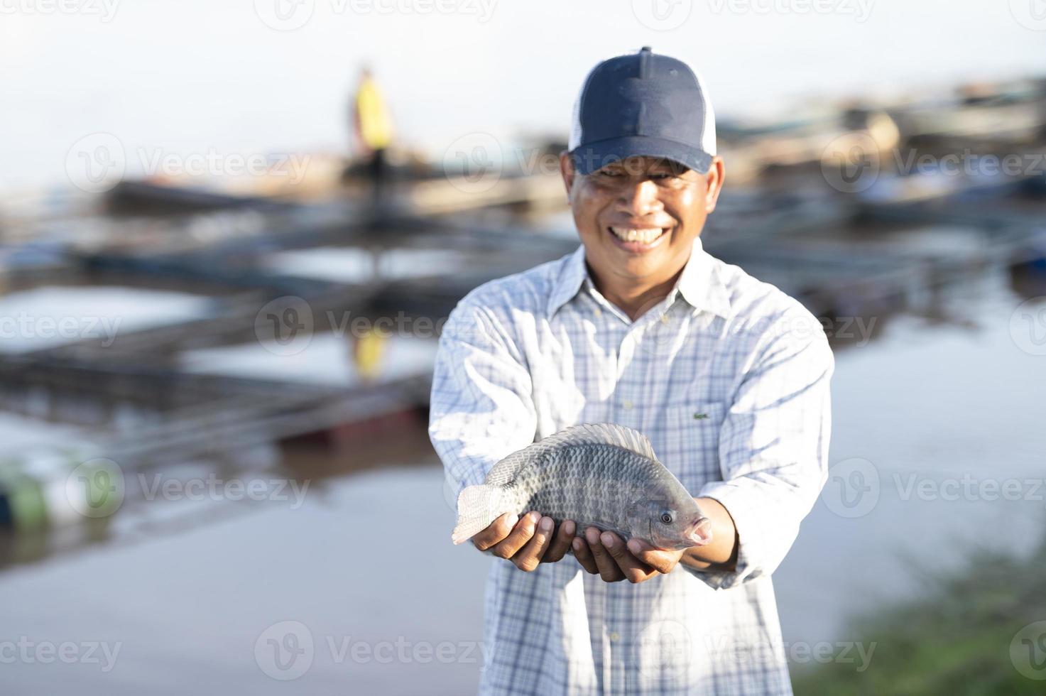 pesce agricoltori nel Tilapia azienda agricola catturare grande vivere Tilapia per esportare per pesce mercato. fresco Tilapia. foto