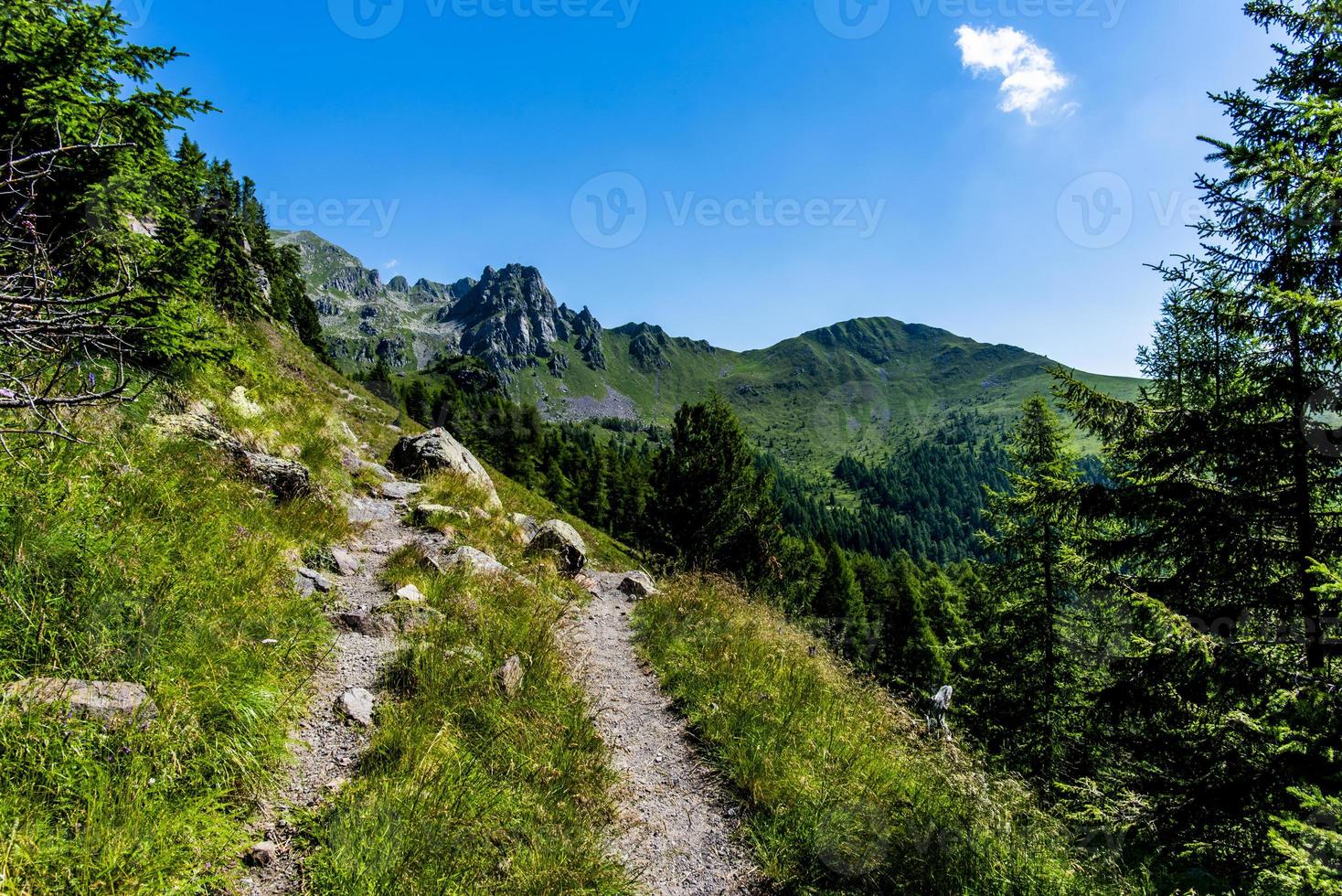 2022 07 03 valcampelle pista e pino 4 foto