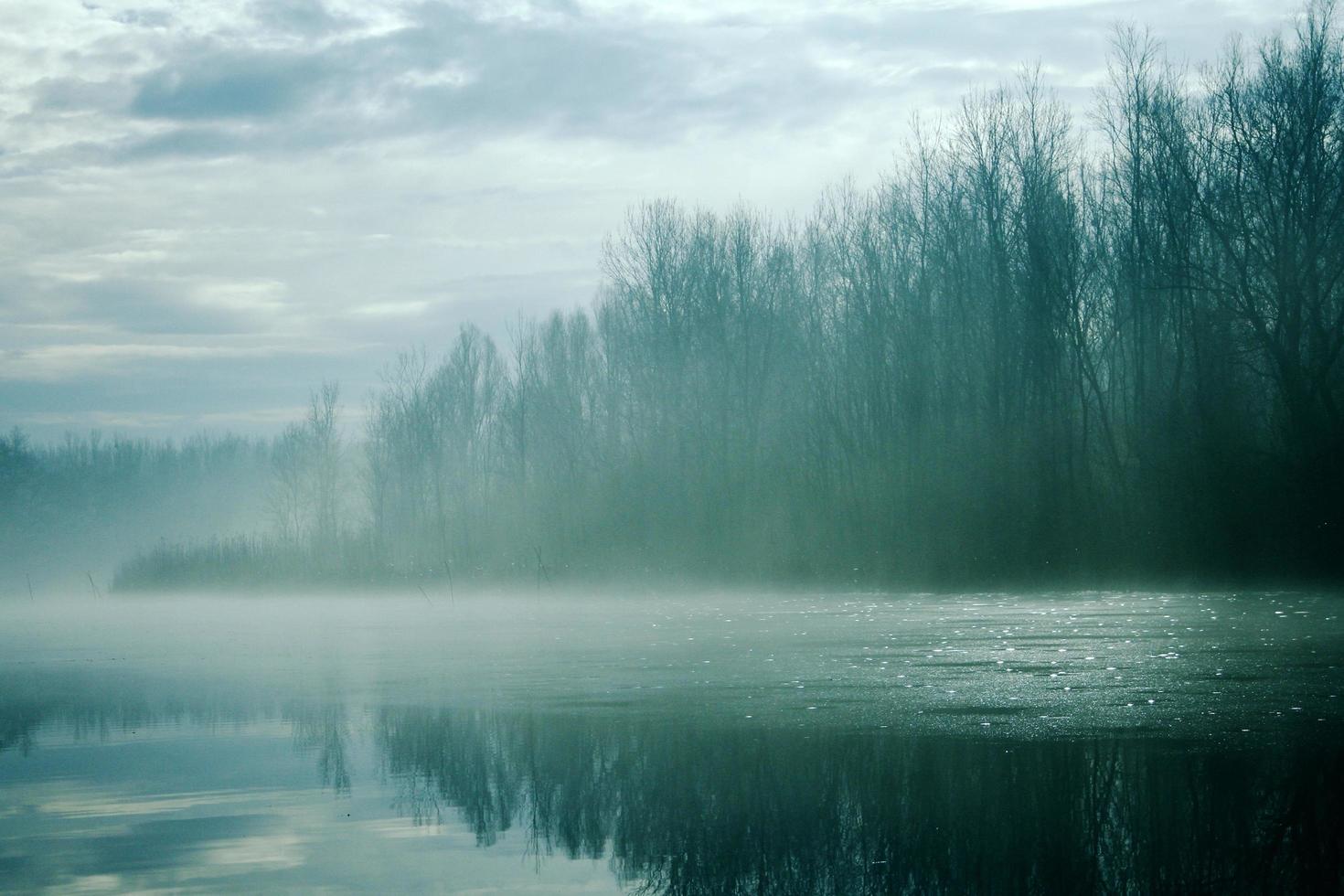 lago nebbioso con alberi foto