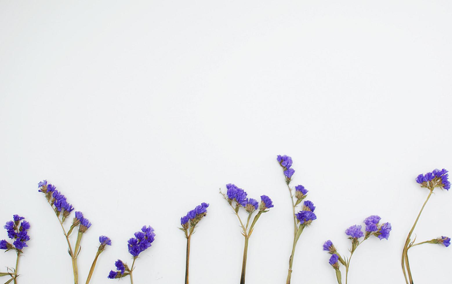 laici piatta con fiori viola foto